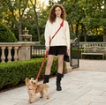 Aesthetic leather Crossbody Dog Leash