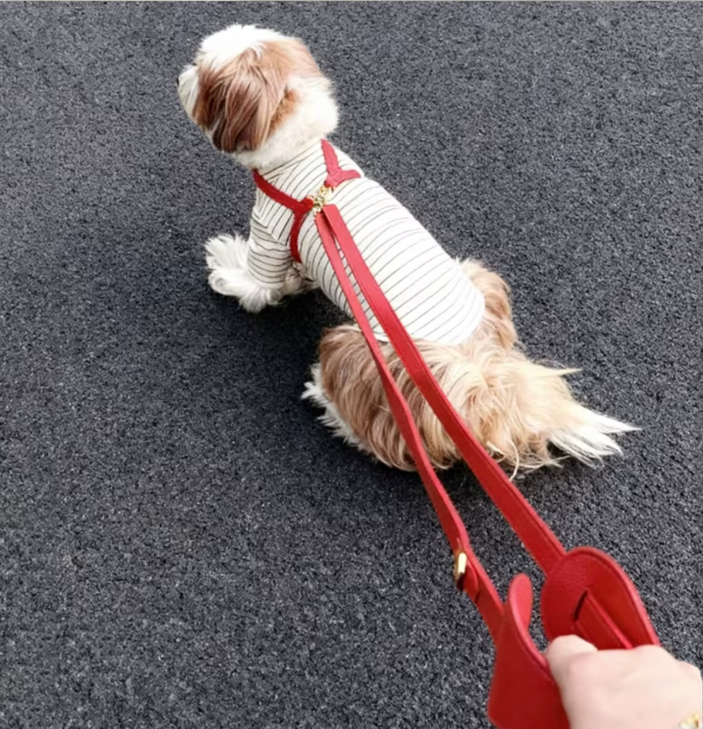 Aesthetic leather Crossbody Dog Leash